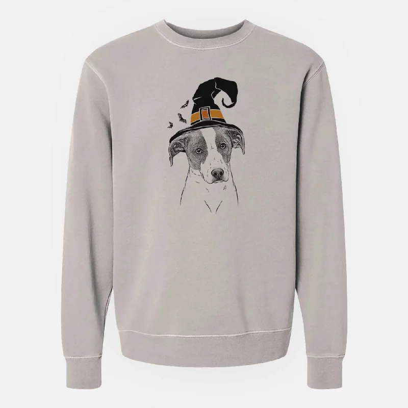 performance hoodie for gymWitch Zephyr the Pointer Mix - Unisex Pigment Dyed Crew Sweatshirt